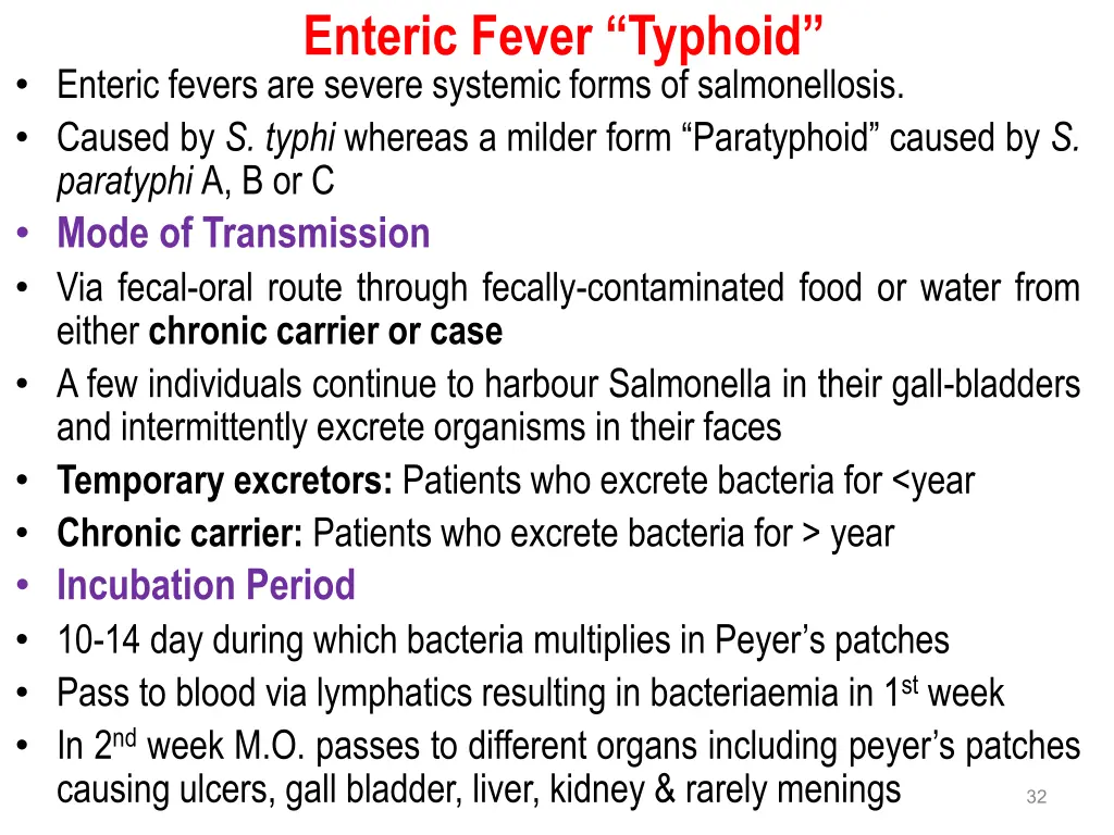 enteric fever typhoid