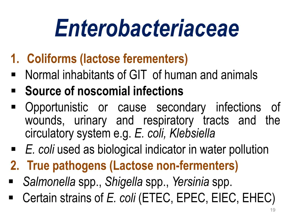 enterobacteriaceae