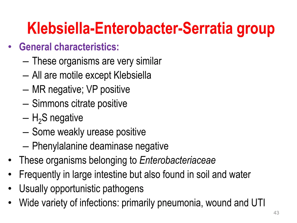 klebsiella enterobacter serratia group general