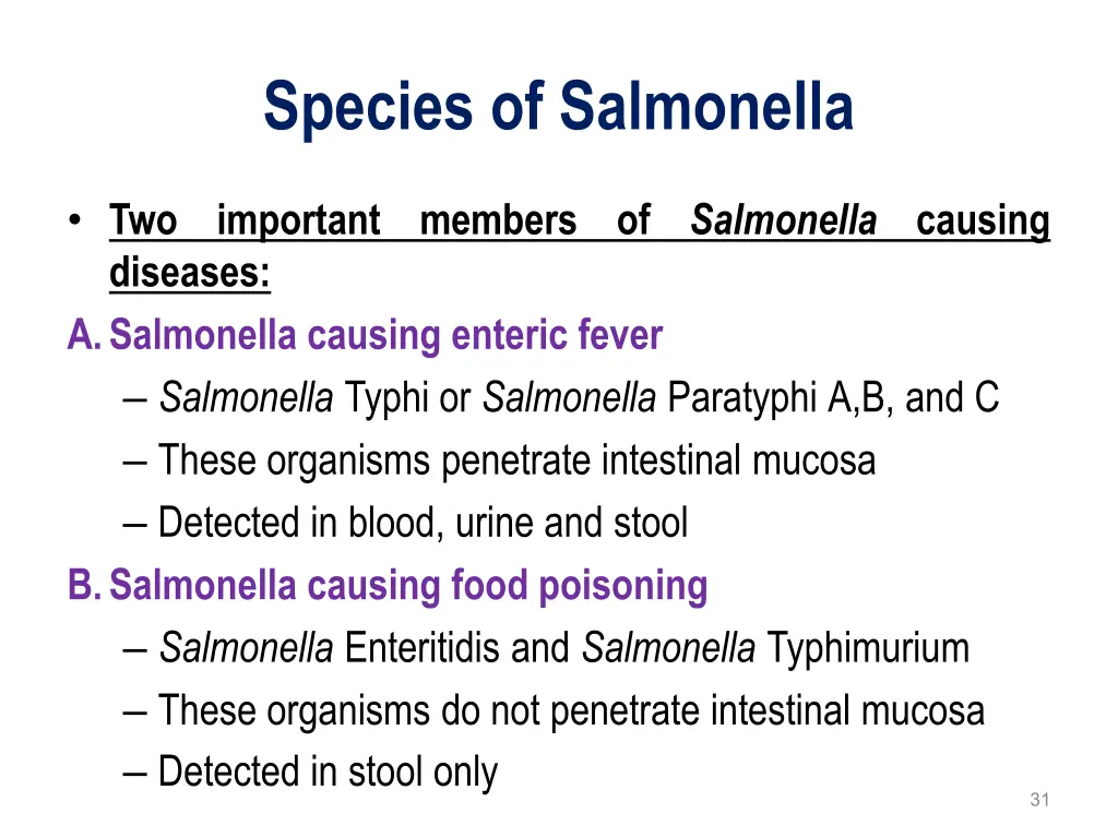 species of salmonella