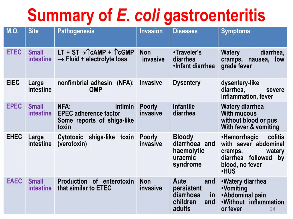 summary of e coli gastroenteritis invasion
