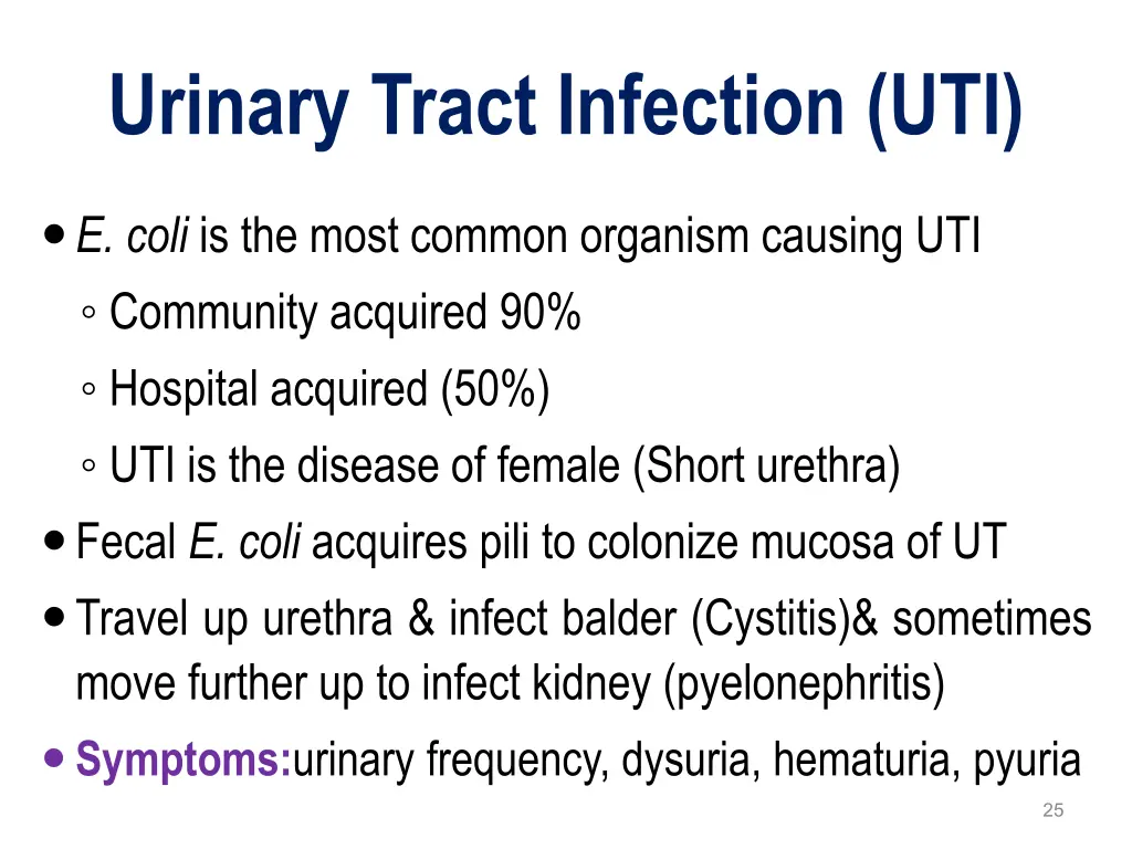 urinary tract infection uti