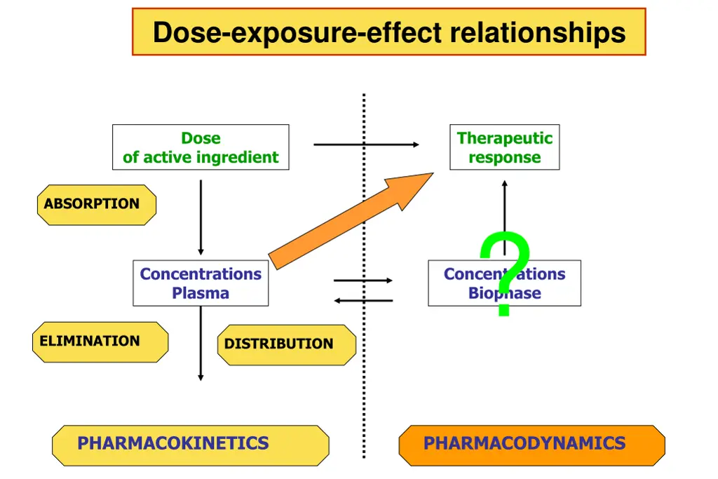 dose exposure effect relationships