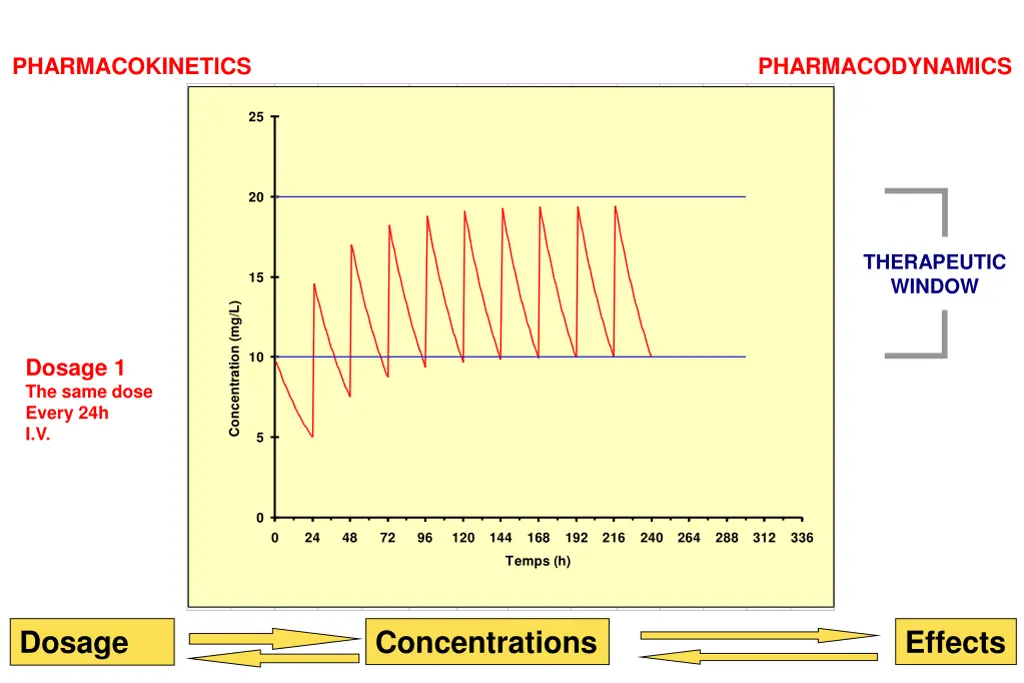 pharmacokinetics 1