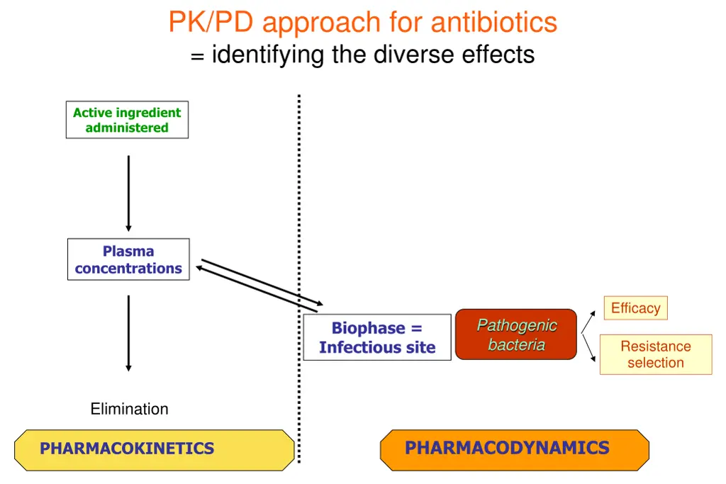 pk pd approach for antibiotics identifying
