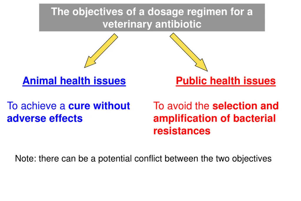 the objectives of a dosage regimen