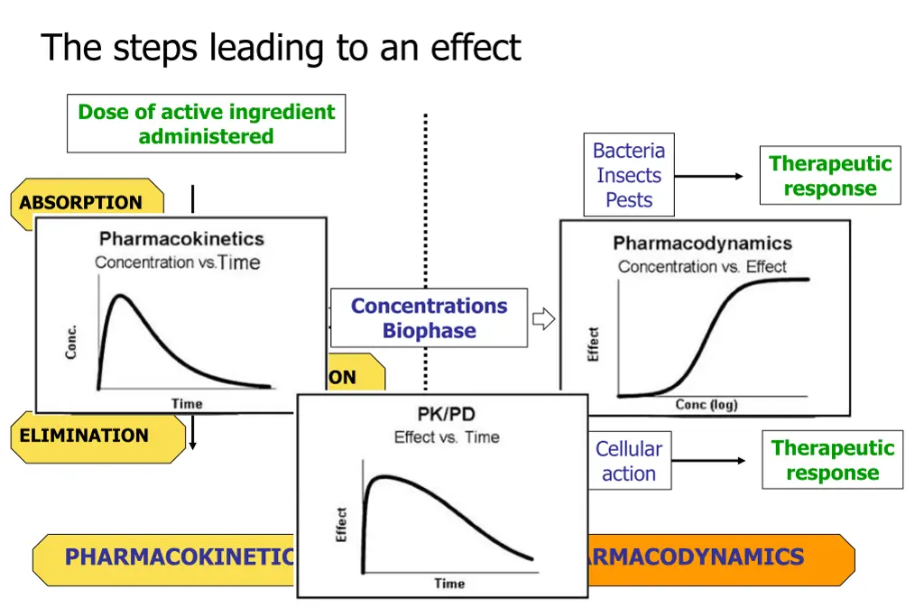 the steps leading to an effect 1
