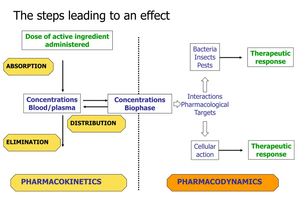the steps leading to an effect