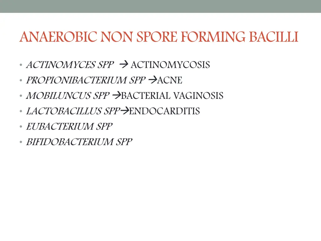 anaerobic non spore forming bacilli