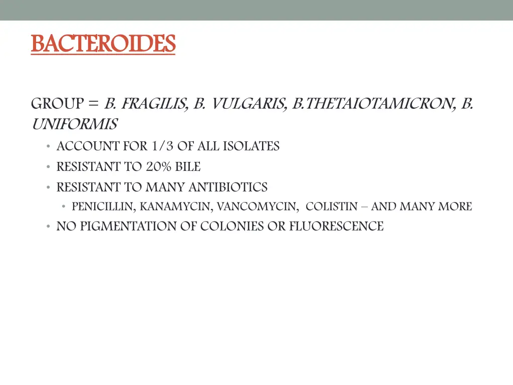 bacteroides bacteroides 1