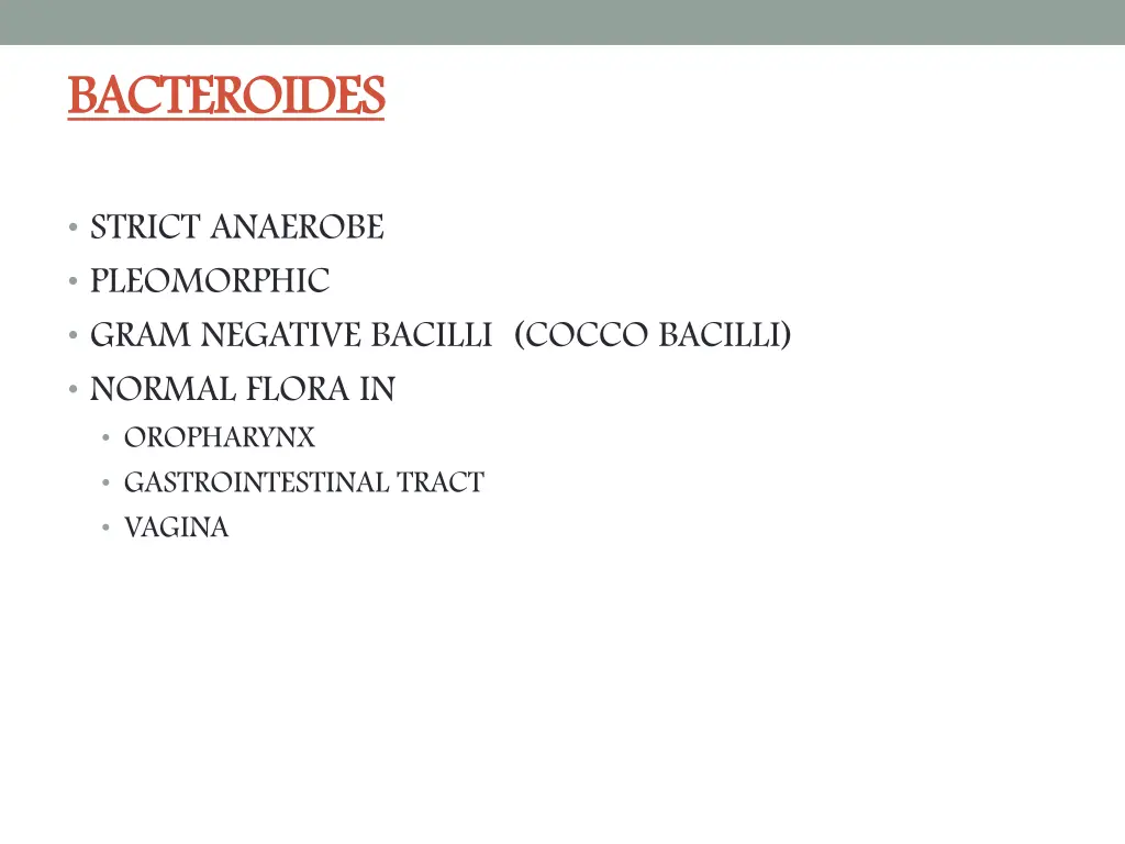 bacteroides bacteroides