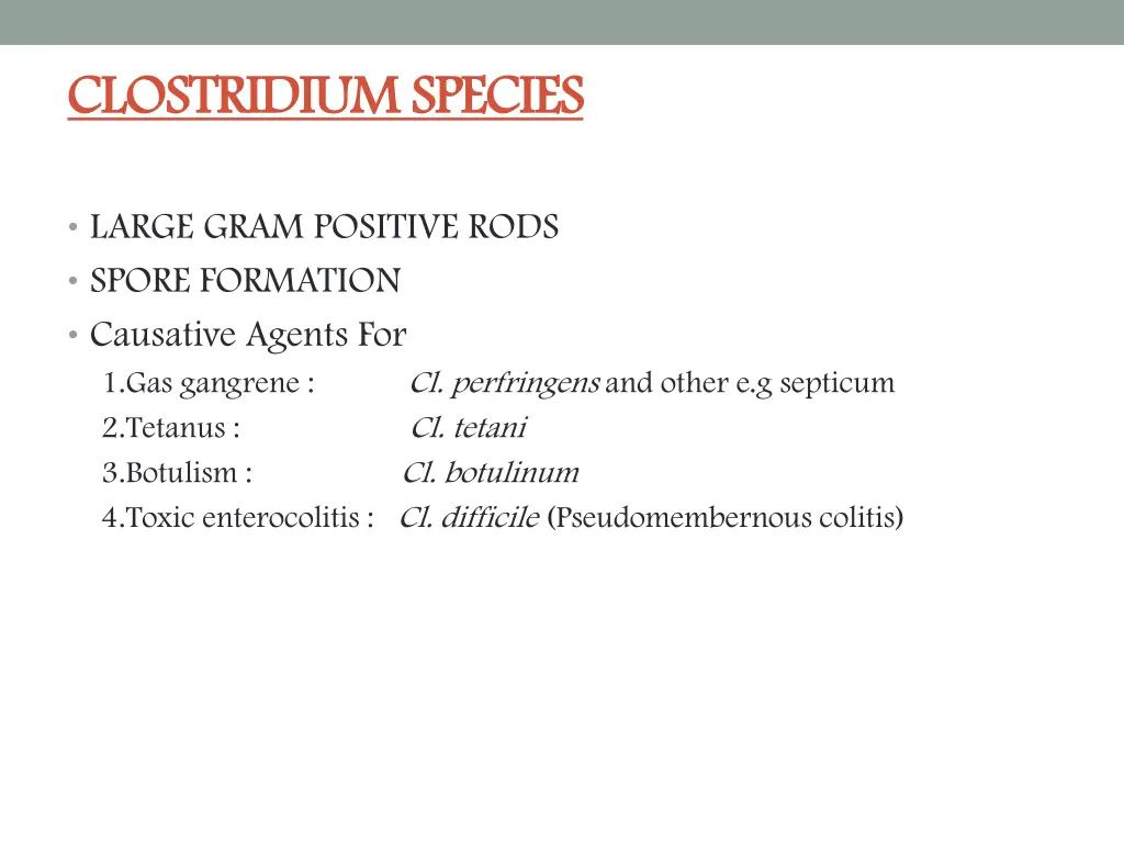 clostridium species clostridium species