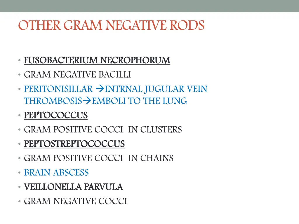 other gram negative rods