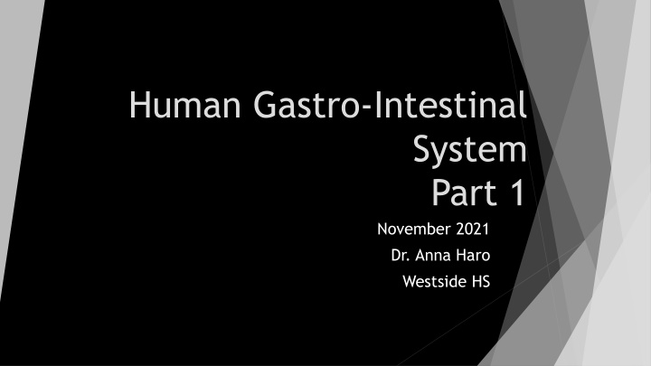 human gastro intestinal