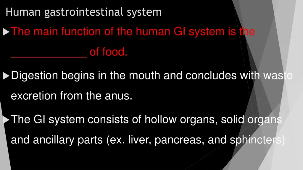 human gastrointestinal system