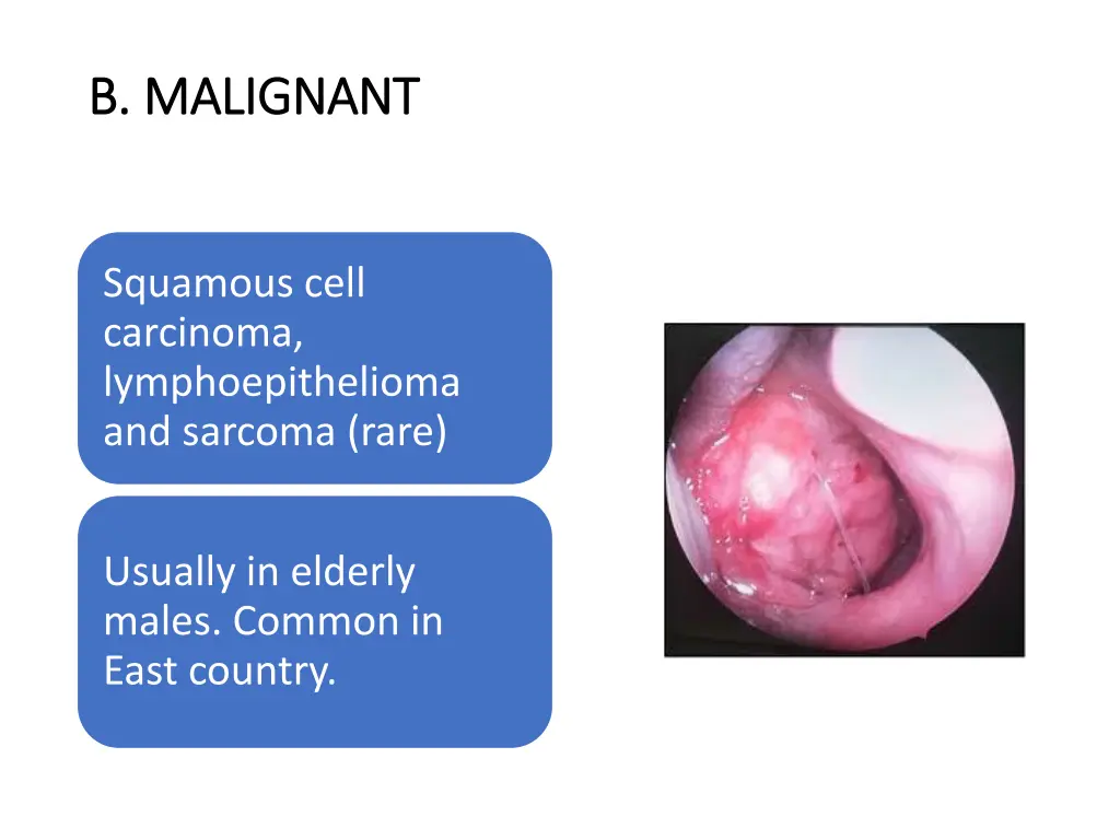 b malignant b malignant