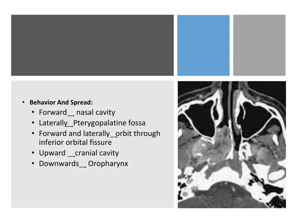 behavior and spread forward nasal cavity
