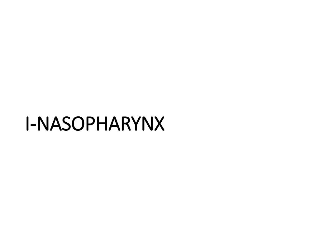 i i nasopharynx nasopharynx