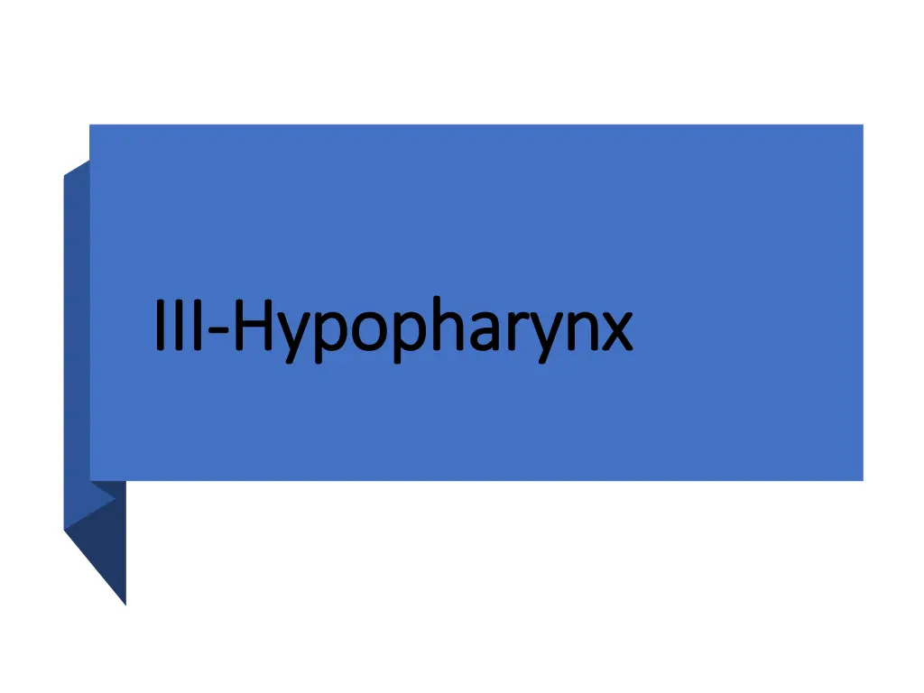 iii iii hypopharynx hypopharynx