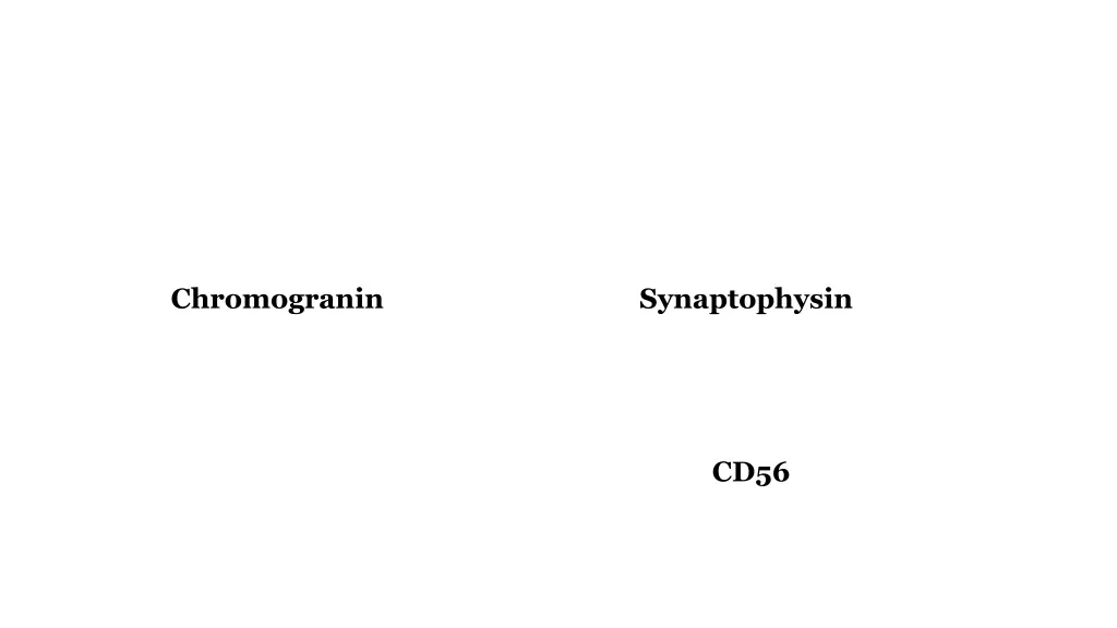 chromogranin