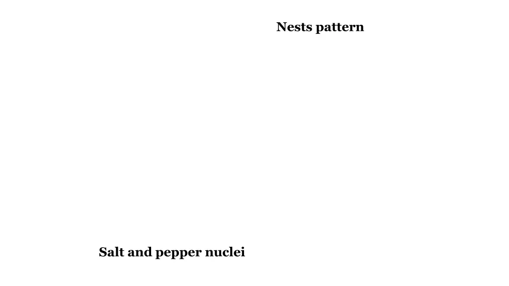 nests pattern