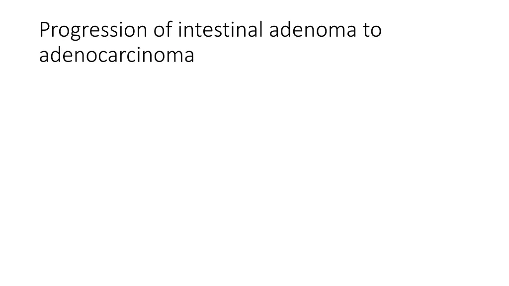 progression of intestinal adenoma