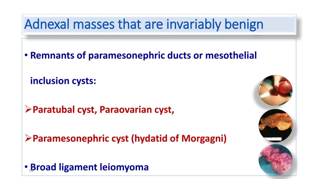 adnexal masses that are invariably benign adnexal