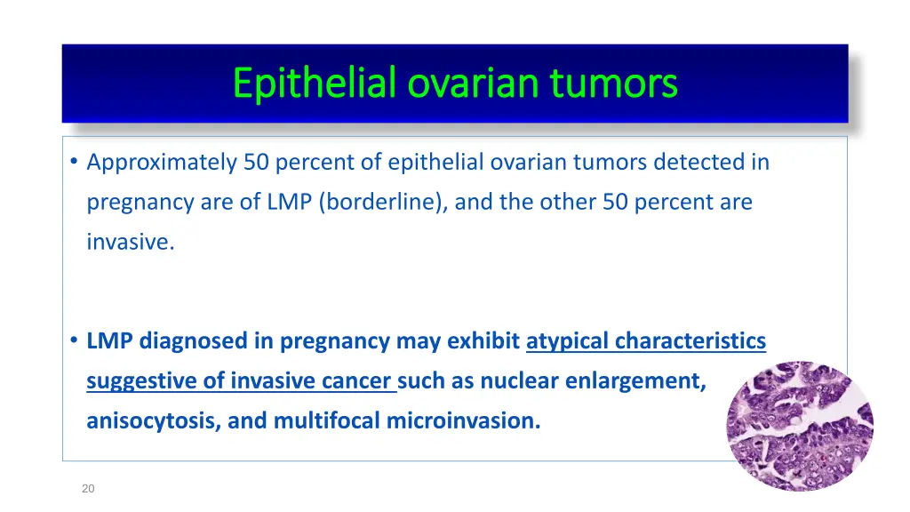 epithelial ovarian tumors epithelial ovarian