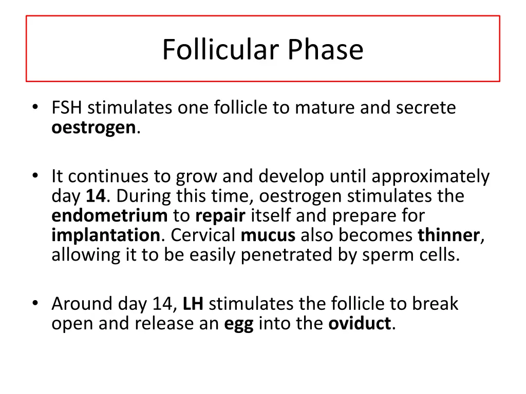 follicular phase