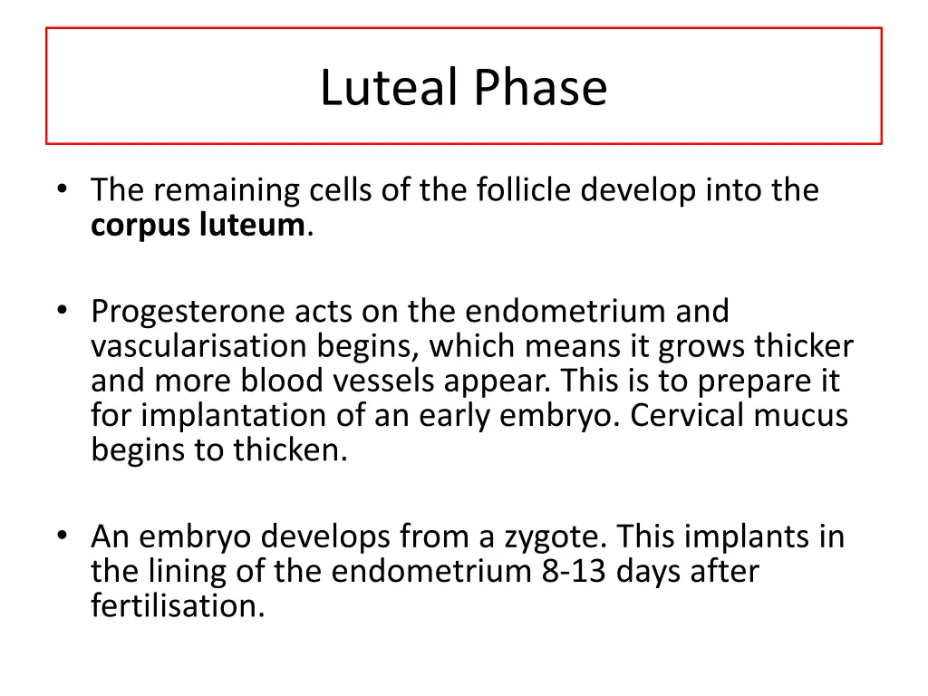 luteal phase