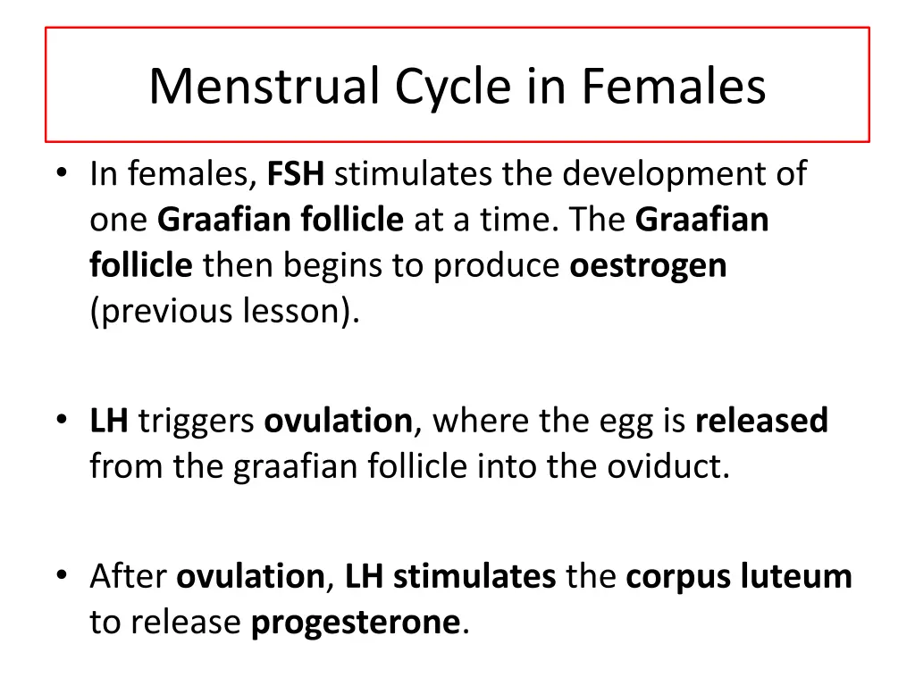 menstrual cycle in females