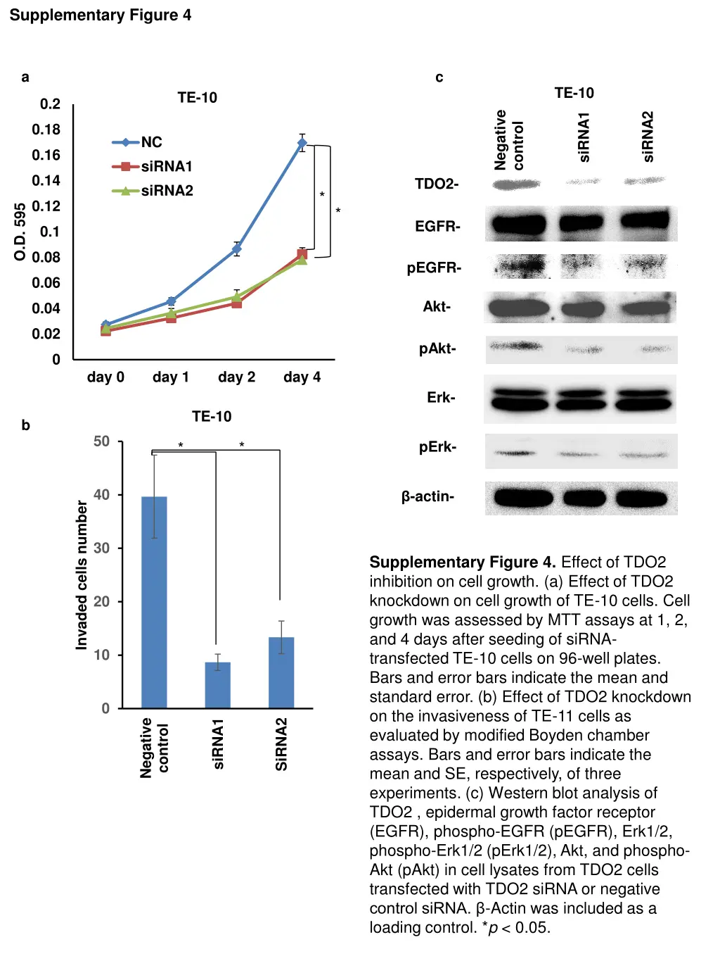 supplementary figure 4