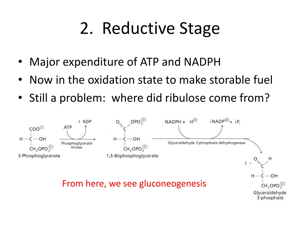 2 reductive stage