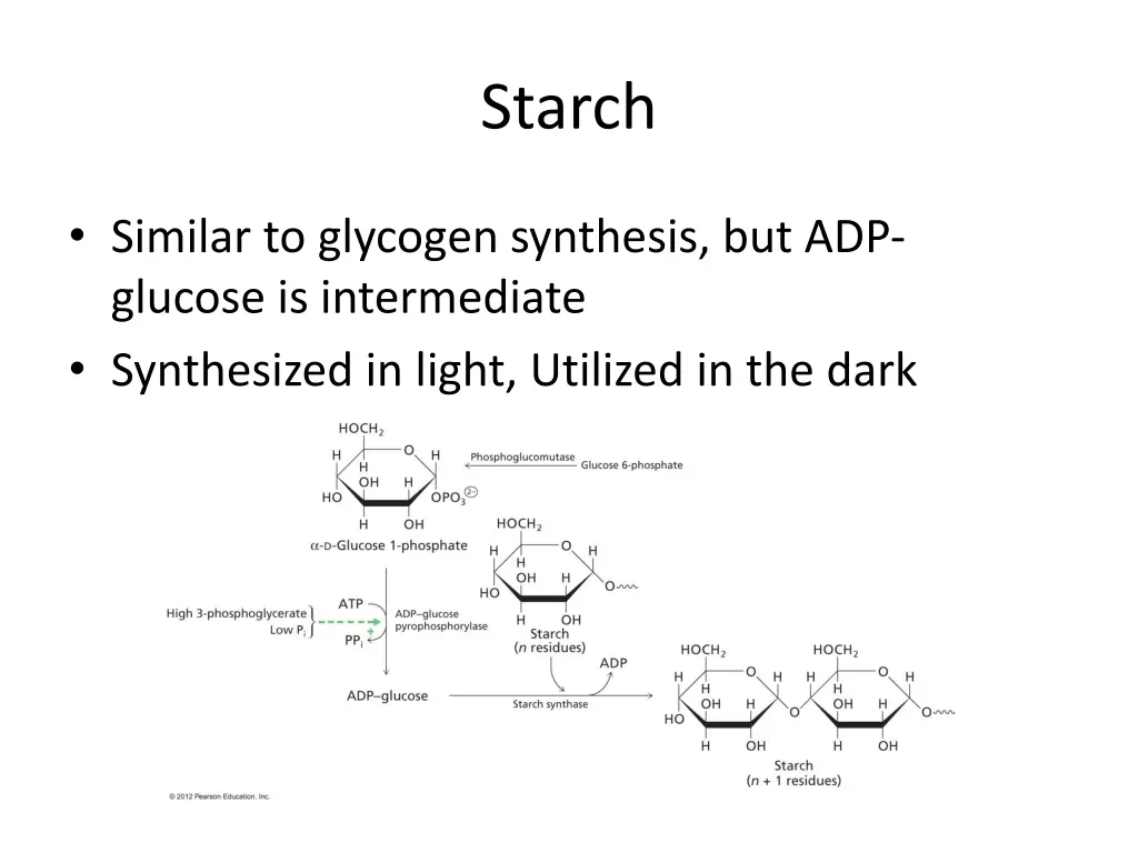 starch