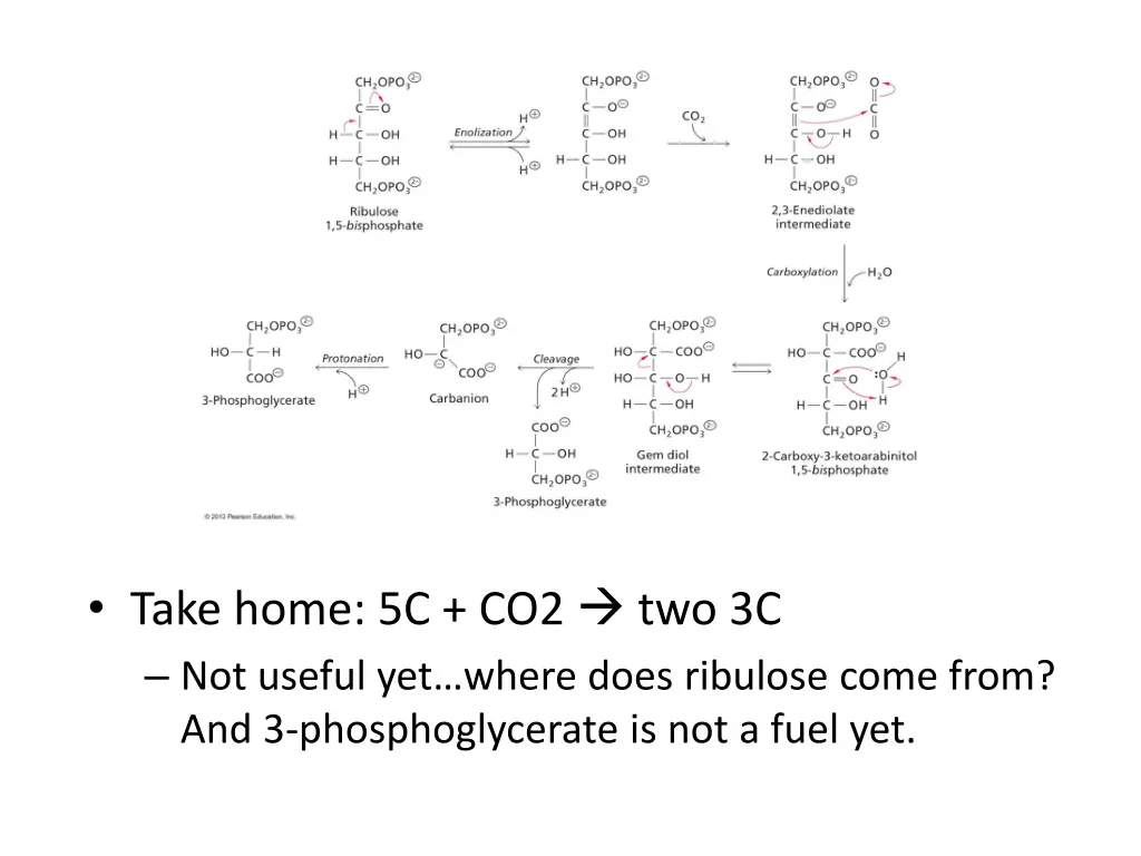take home 5c co2 two 3c not useful yet where does