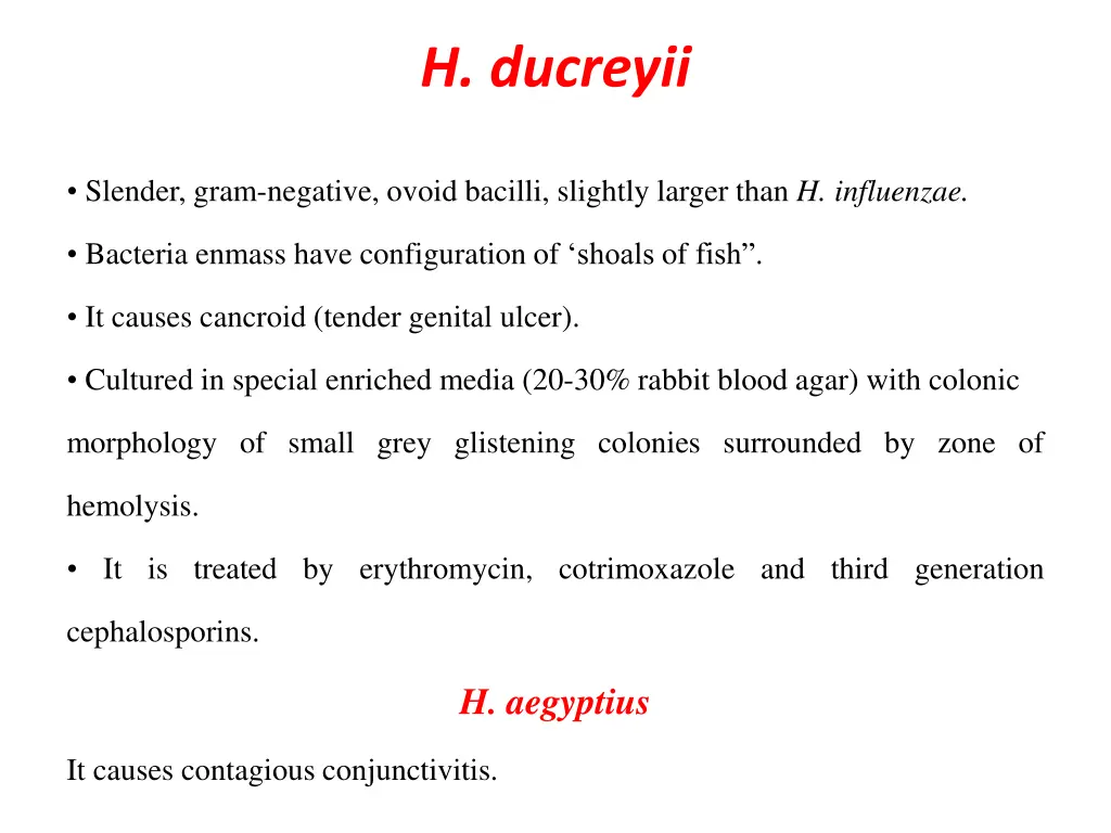 h ducreyii