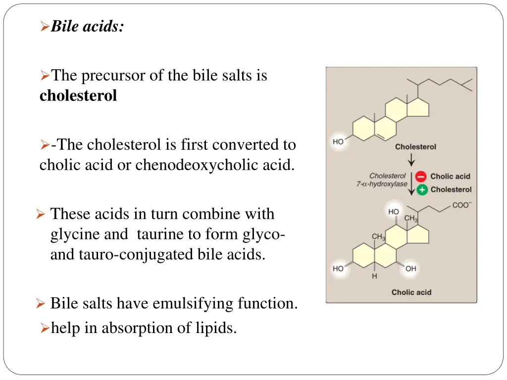 bile acids