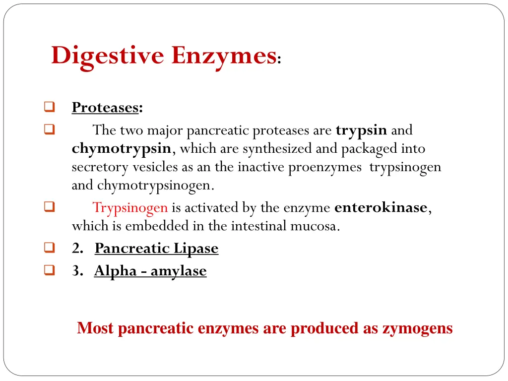 digestive enzymes