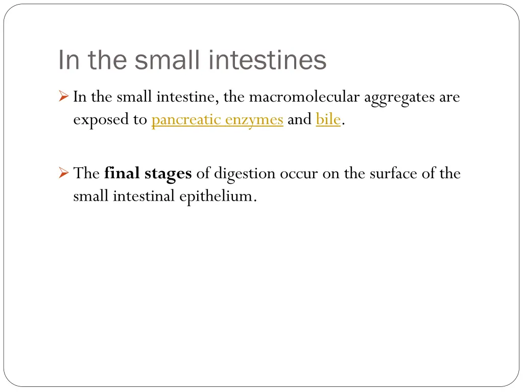 in the small intestines