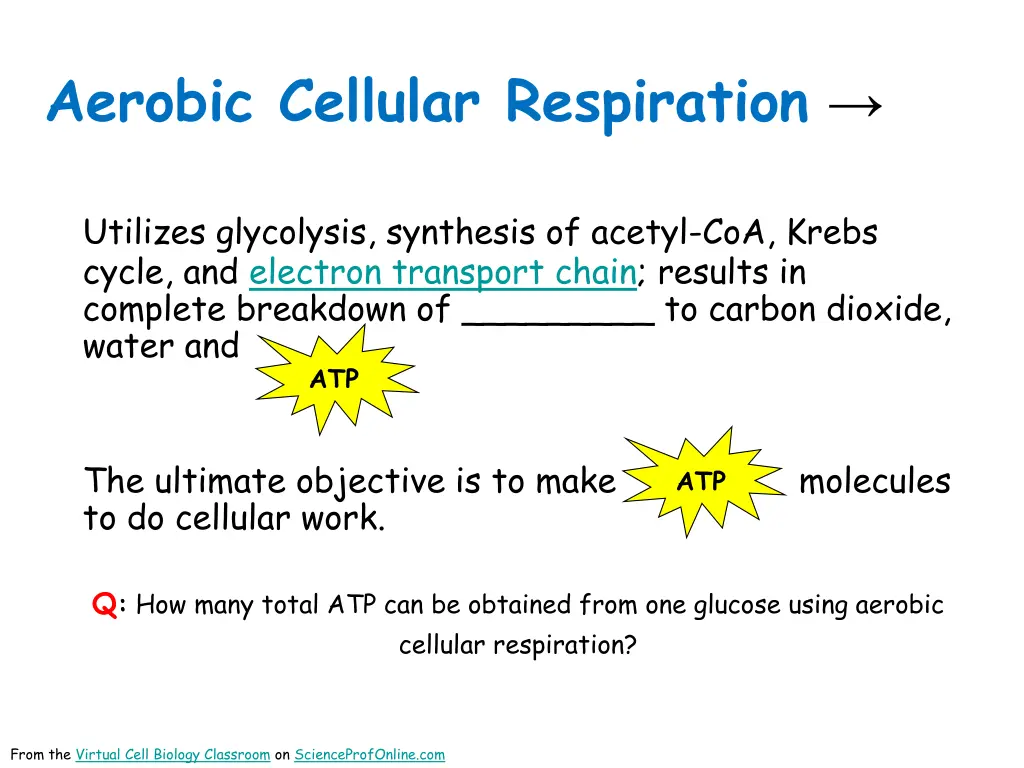 aerobic cellular respiration