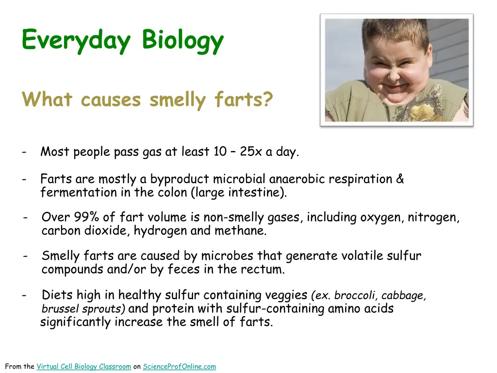 everyday biology