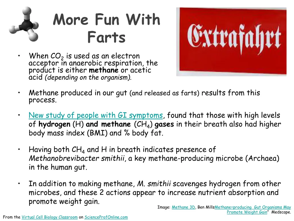 more fun with farts