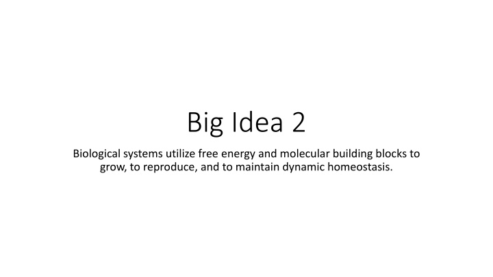 big idea 2