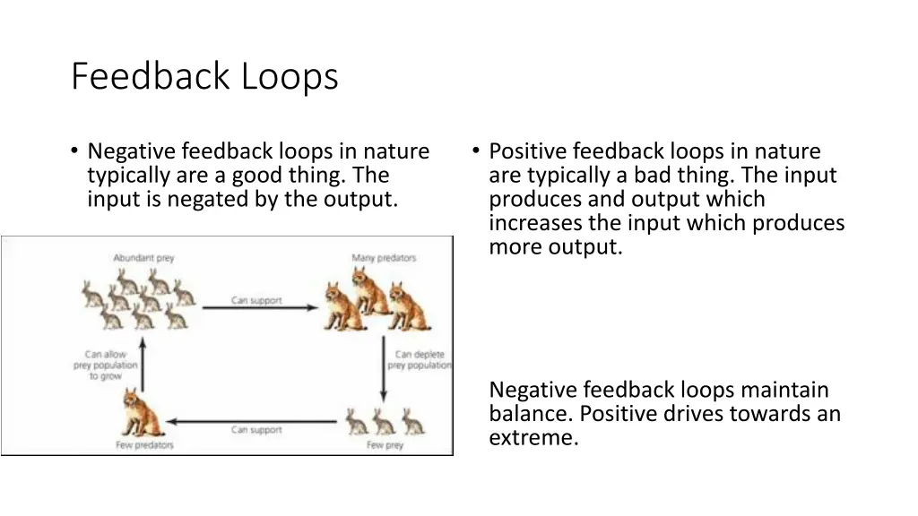 feedback loops