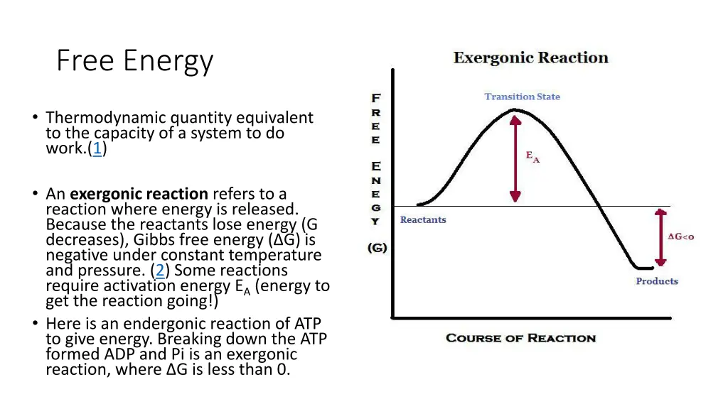 free energy