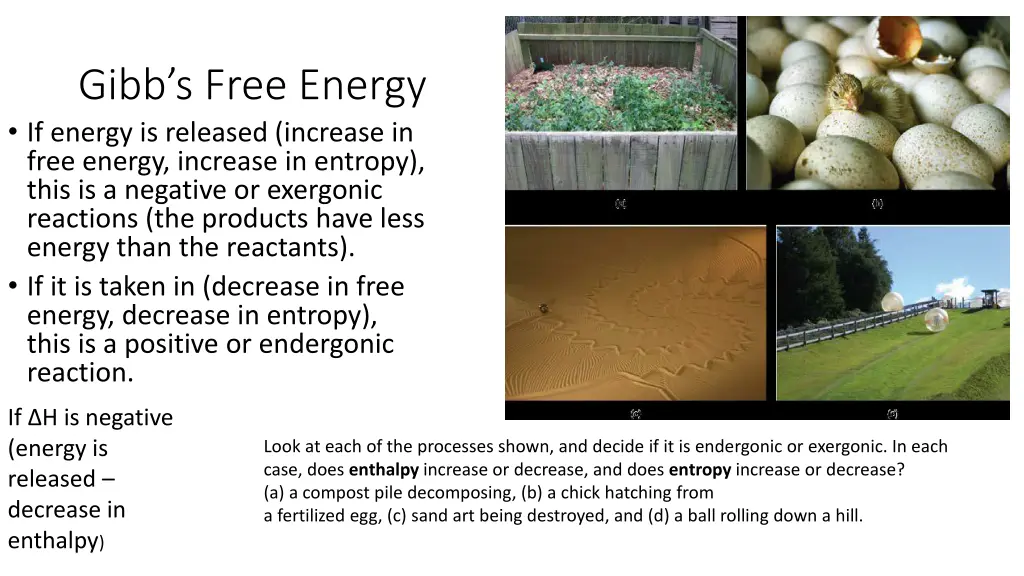 gibb s free energy if energy is released increase