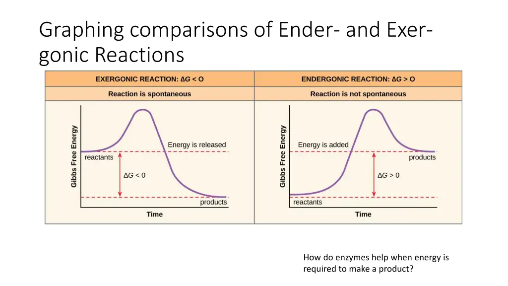 graphing comparisons of ender and exer gonic
