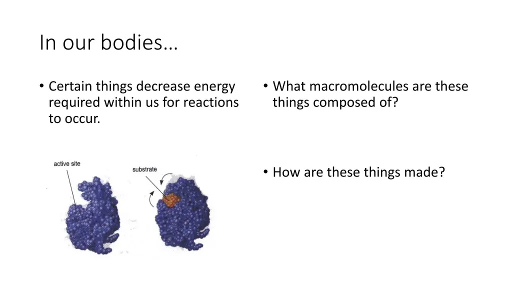 in our bodies