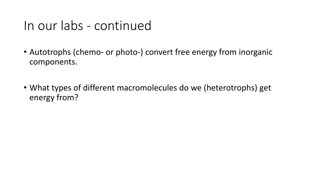 in our labs continued