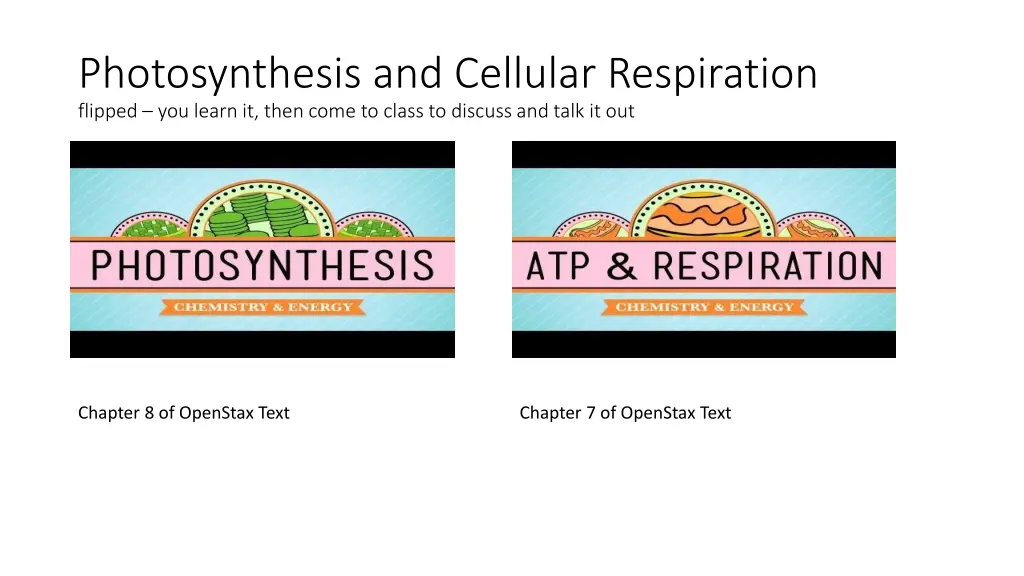 photosynthesis and cellular respiration flipped